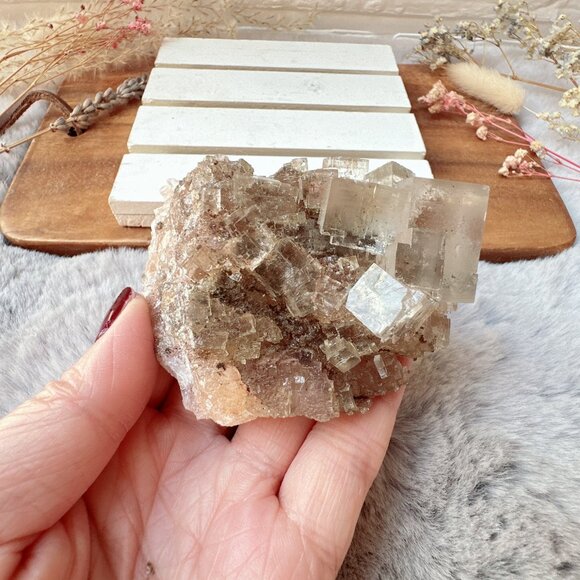 Gorgeous Halite Salt Crystal Cluster from Morroco - Picture 2 of 10